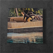 monkey-canvas-wrapped-wall-art-2