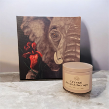 sea-stone-tin-soy-candle-elephant-print
